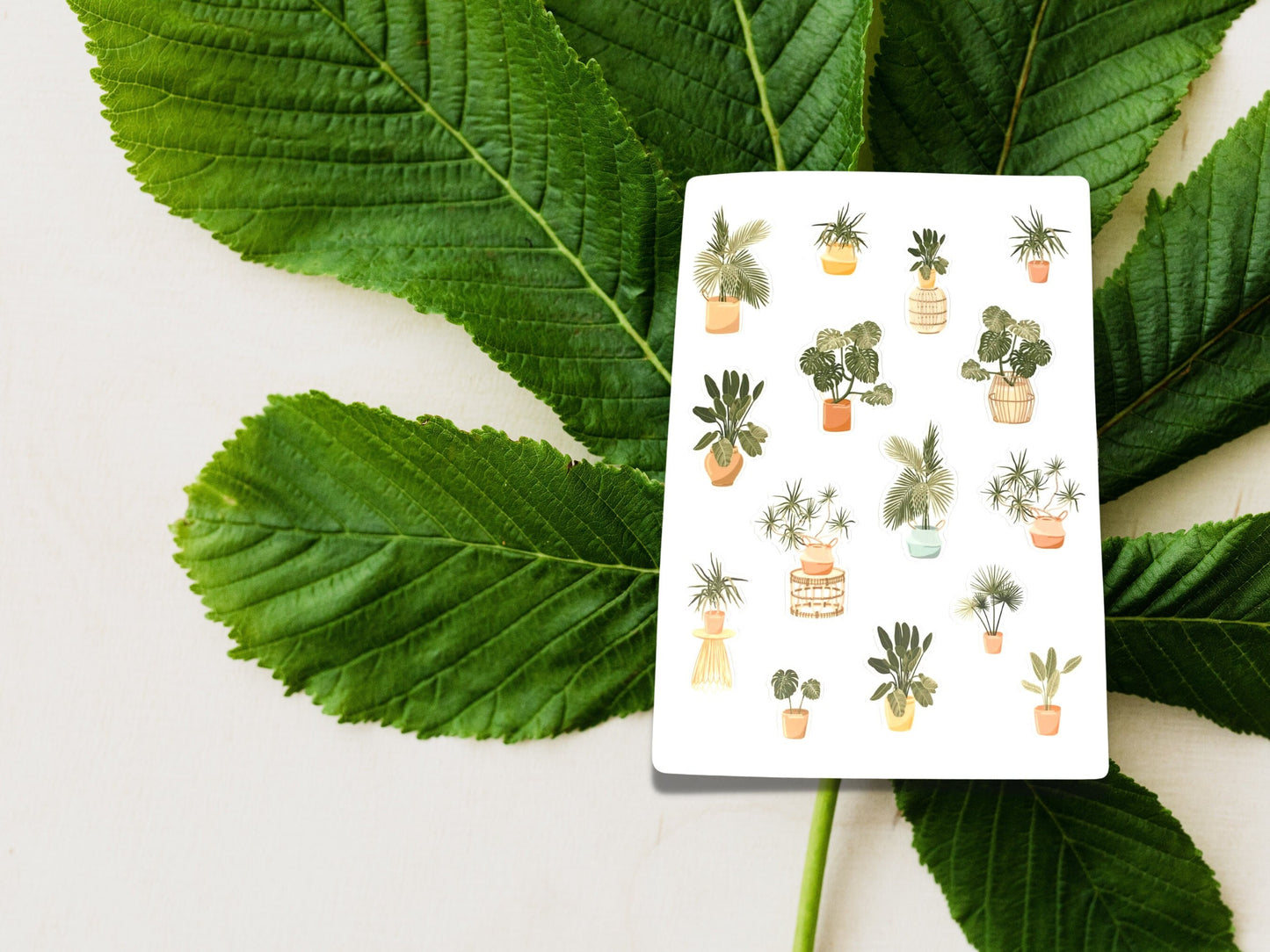 House Plant Sticker Sheet, Plant Stickers for Journaling, Crazy Plant Lady, Botanical Sticker, Sticker Sheet, Gifts for Women, Bible Verse